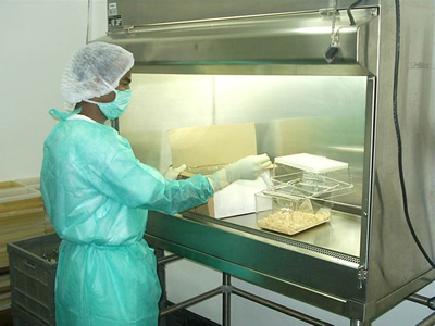 Bioseguridad