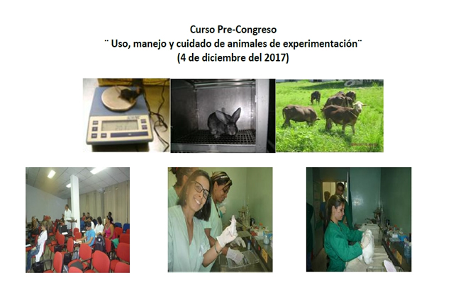 <a href='post.php?s=2017-07-10-curso-pre-congreso-¨uso-manejo-y-cuidado-de-animales-de-experimentacion-en-estudios-de-enfermedades-infecciosas¨'>Curso pre congreso ¨Uso, manejo y cuidado de animales de experimentación en estudios de enfermedades infecciosas¨</a>