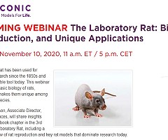 Webinar - The Laboratory Rat: Biology, Reproduction, and Unique Applications