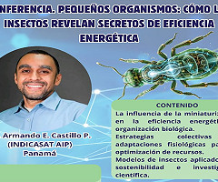 Pequeños organismos, grandes lecciones: conferencia sobre eficiencia energética en insectos