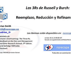 PDF en español sobre las 3Rs