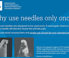 Póster de la NC3Rs: Single use of needles (Un solo uso de agujas)