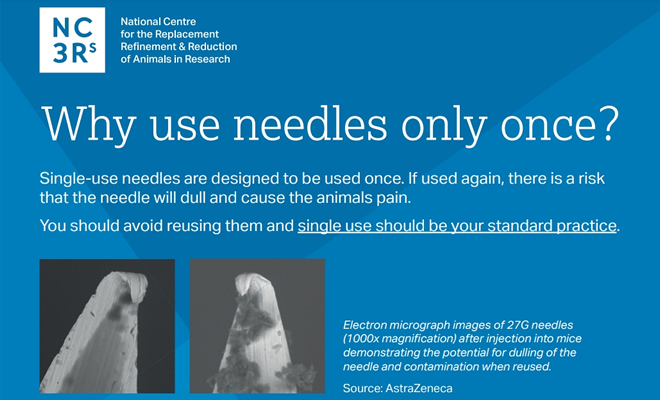 Póster de la NC3Rs: Single use of needles (Un solo uso de agujas)