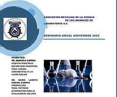 Seminario AMCAL Noviembre 2022