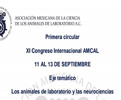 Congreso AMCAL 2017