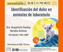 Seminario Híbrido 