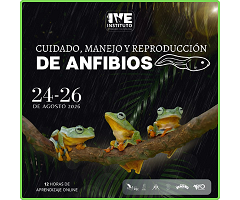 Curso online sobre cuidado, manejo y reproducción de anfibios: formación especializada del 24 al 26 de agosto