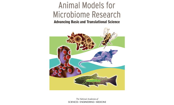 PDF sin costo: Animal Models for Microbiome Research. Advancing Basic ...