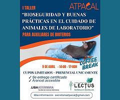 I Taller 