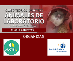 Curso Teórico-Práctico ANIMALES DE LABORATORIO. Organizado por el Institut Pasteur de Montevideo y AUCyTAL