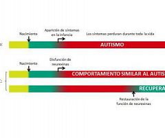 Los síntomas del autismo pueden ser reversibles en ratones