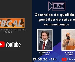 Canal de YouTube de SBCAL: Controles da qualidade genética de ratos e camundongos