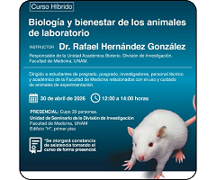 UNAM organiza curso híbrido sobre biología y bienestar de los animales de laboratorio