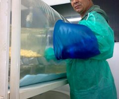 Bioseguridad en Bioterios de Experimentación (Parte II)