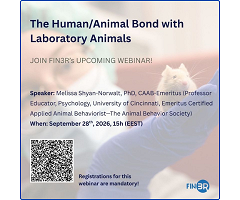 Webinar internacional abordará el vínculo humano-animal en el trabajo con animales de laboratorio