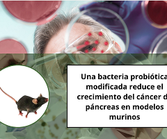 Una bacteria probiótica modificada reduce el crecimiento del cáncer de páncreas en modelos murinos