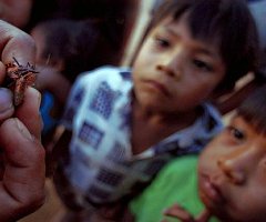Posibles biomarcadores de pronóstico para la enfermedad de Chagas