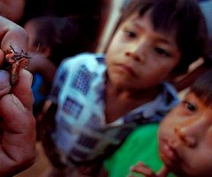 Nueva esperanza contra el mal de Chagas