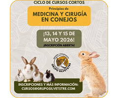 Curso online: Principios de Medicina y Cirugía en Conejos