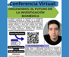 Conferencia Virtual: 
