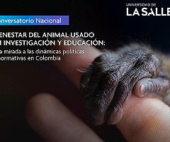 Conversatorio Nacional - Bienestar del animal usado en investigación y educación: una mirada a las dinámicas políticas y normativas en Colombia