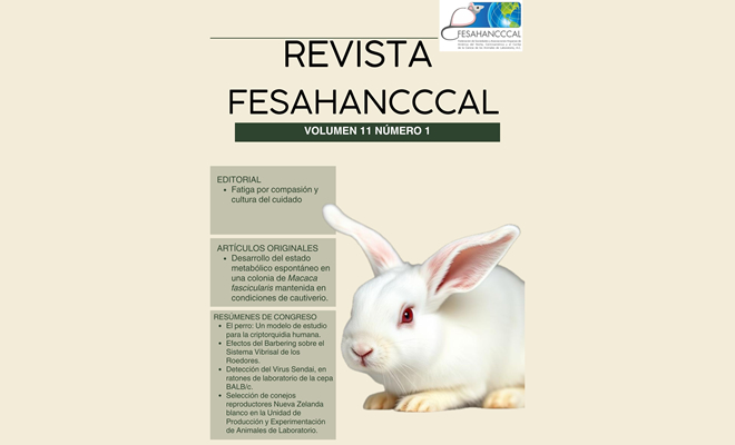 Revista FESAHANCCCAL: Vol. 11 Núm. 1 (2025)