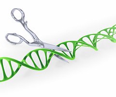 El origen de CRISPR-Cas contado por un microbiólogo y un genetista