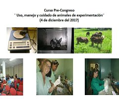 Curso pre congreso ¨Uso, manejo y cuidado de animales de experimentación en estudios de enfermedades infecciosas¨