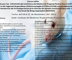 La función del CICUAL en la investigación pre clínica