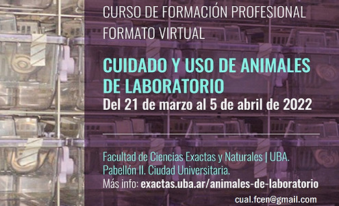 Curso de Formación Profesional Formato Virtual: 