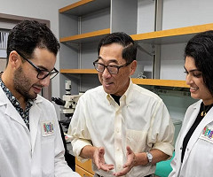 La Universidad de Stanford desarrolla un tratamiento que logra la remisión de la diabetes tipo 1 en ratones