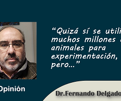 Quizá sí se utilizan muchos millones de animales para experimentación, pero…