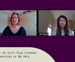 Episode 19: Let's Talk Common Conditions of B6 Mice (YouTube)