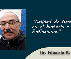 Calidad de Gestión en el bioterio - Reflexiones