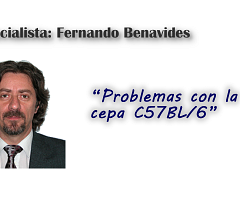 Problemas con la cepa C57BL/6