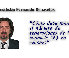 Cómo determinar el número de generaciones de la endocría (F) en ratones