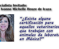 Dra. Ivonne Michelle Heuze de Icaza: ¿Existe alguna certificación para aquellos veterinarios que trabajan con animales de laboratorio en México?