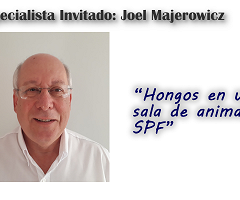 Dr. Joel Majerowicz: Hongos en una sala de animales SPF