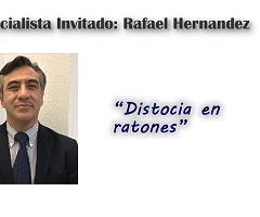 Dr. Rafael Hernández: Distocia en ratones