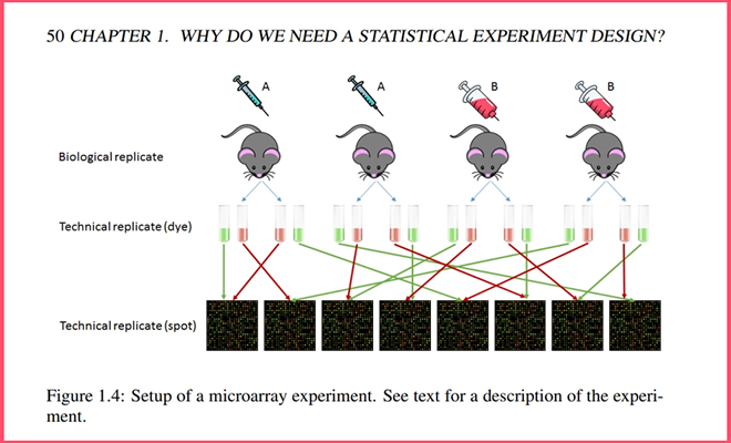 Actualización de Libro de diseño estadístico de experimentos con animales