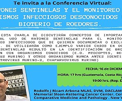 Conferencia Virtual: 