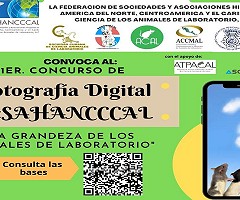 1er. Concurso de Fotografía Digital FESAHANCCCAL