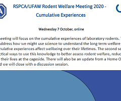 RSPCA/UFAW Rodent Welfare Meeting 2020 - Cumulative Experiences