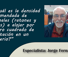 ¿Cuál es la densidad recomendada de animales (ratones y ratas) a alojar por metro cuadrado de habitación en un bioterio?