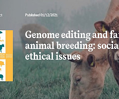 Nuevo informe sobre edición genética en animales de granja del Nuffield Council on Bioethics