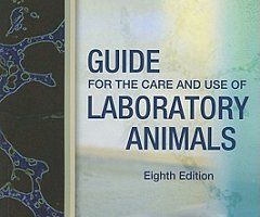 Cambios claves en la Guía para cuidado y uso de animales de laboratorio 2010