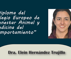 Diploma del Colegio Europeo de Bienestar Animal y Medicina del Comportamiento