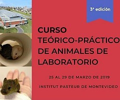 Curso IP Montevideo