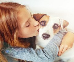 Los perros usan expresiones faciales para comunicarse con los humanos