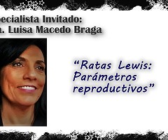 Ratas Lewis: Parámetros reproductivos
